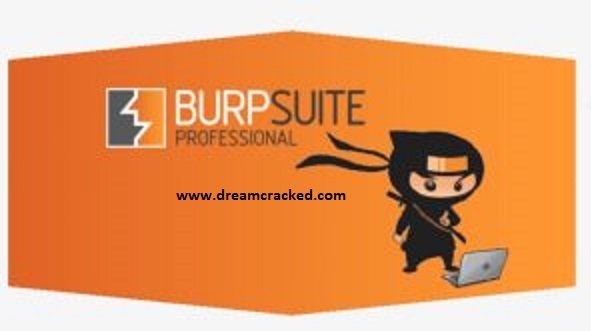 Burp Suite Professional Crack